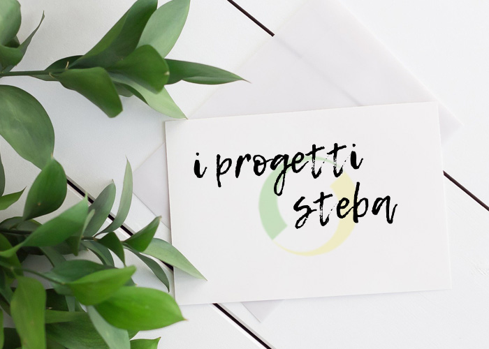 Steba Projects, Interview 4